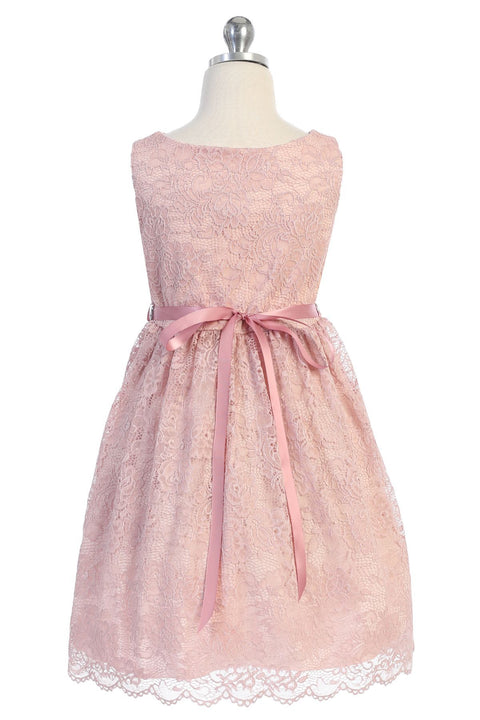 Stretch Lace Dress