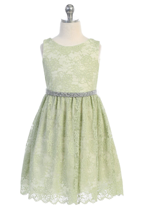 Stretch Lace Dress