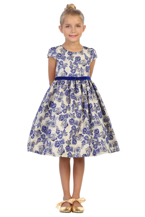 Brocade Sleeve Dress