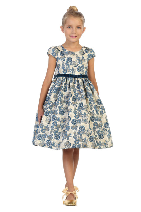 Brocade Sleeve Dress