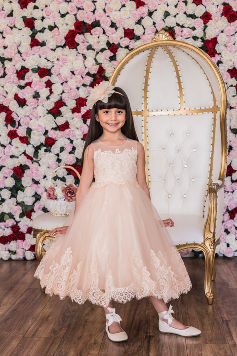 Lace Appliqué Illusion Bateau Dress