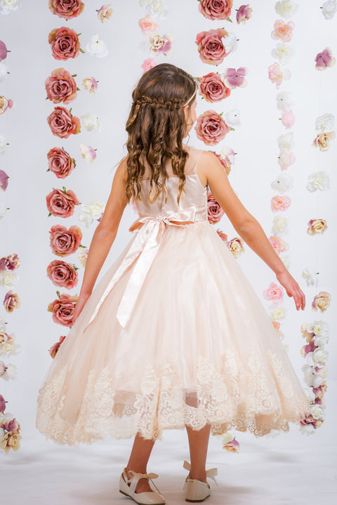 Lace Appliqué Illusion Bateau Dress