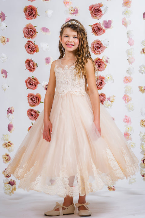 Lace Appliqué Illusion Bateau Dress