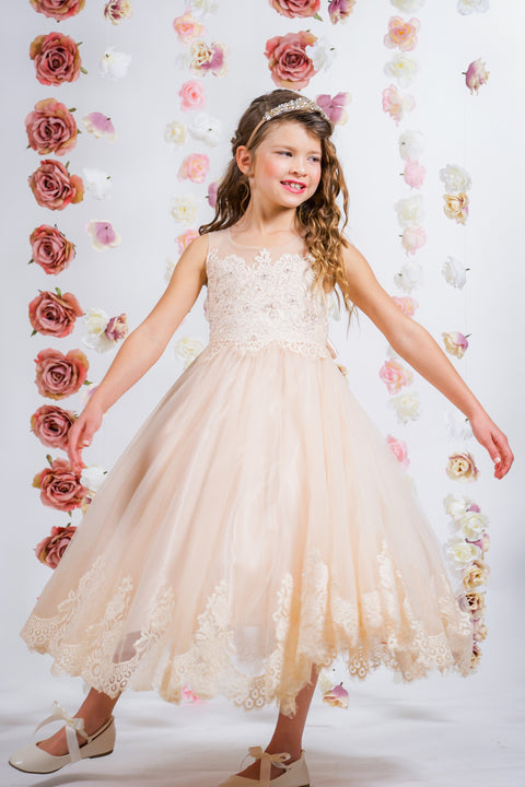 Lace Appliqué Illusion Bateau Dress