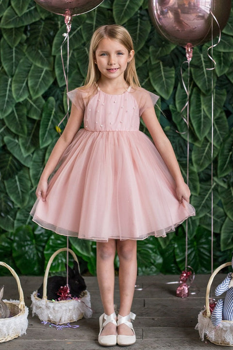 Pearl Mesh Dress