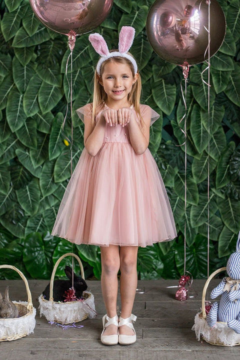 Pearl Mesh Dress