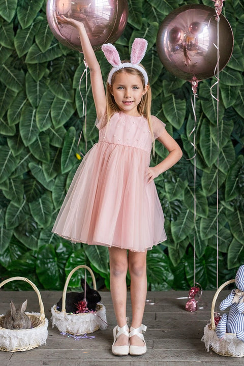 Pearl Mesh Dress