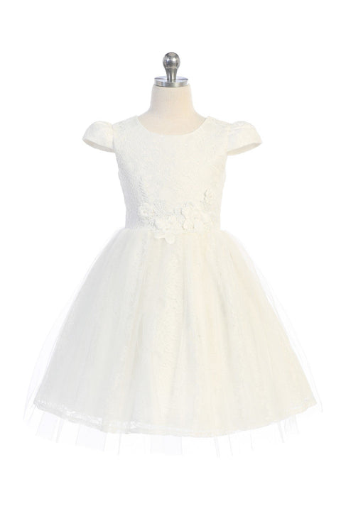 Cap Sleeve Lace Mesh Dress