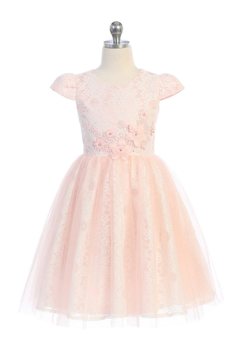 Cap Sleeve Lace Mesh Dress