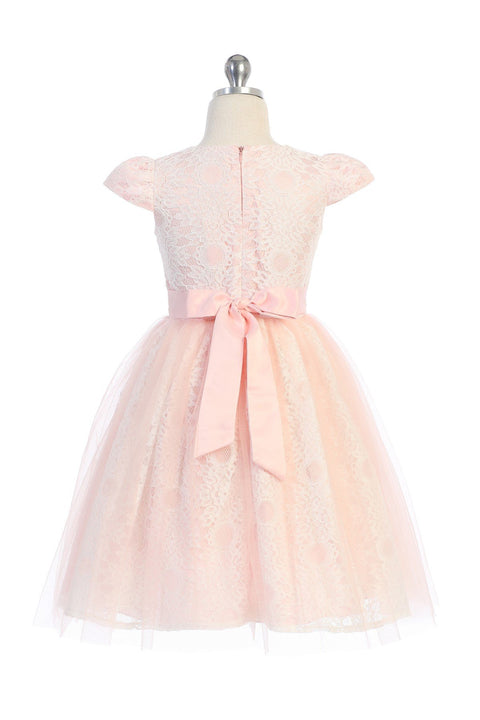 Cap Sleeve Lace Mesh Dress