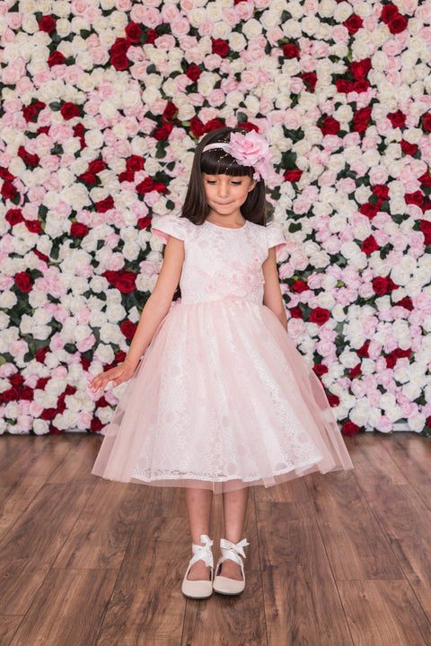 Cap Sleeve Lace Mesh Dress