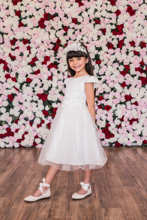 Cap Sleeve Lace Mesh Dress