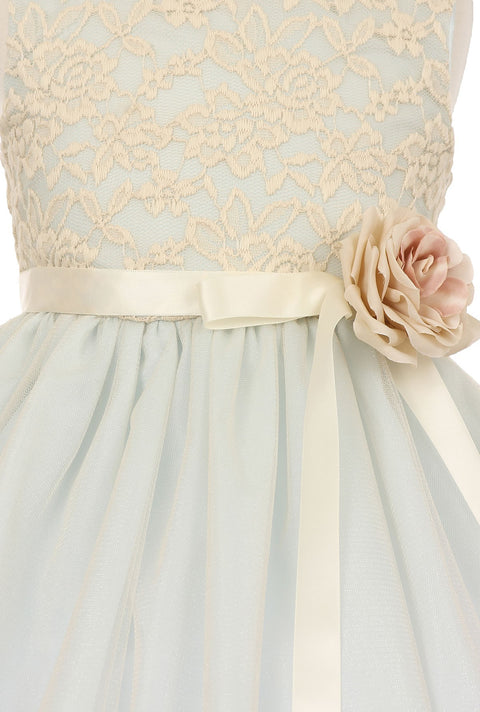 Cutie Lace & Tulle - #1142