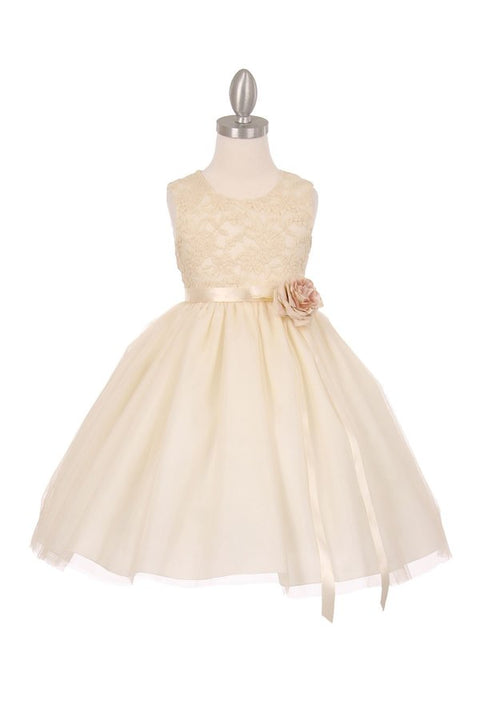Cutie Lace & Tulle - #1142