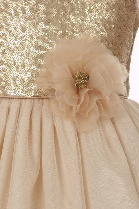 Cutie Lace & Tulle - #1204