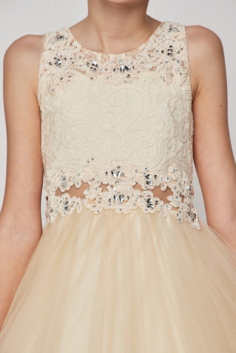 Cutie Party Dress - #5010