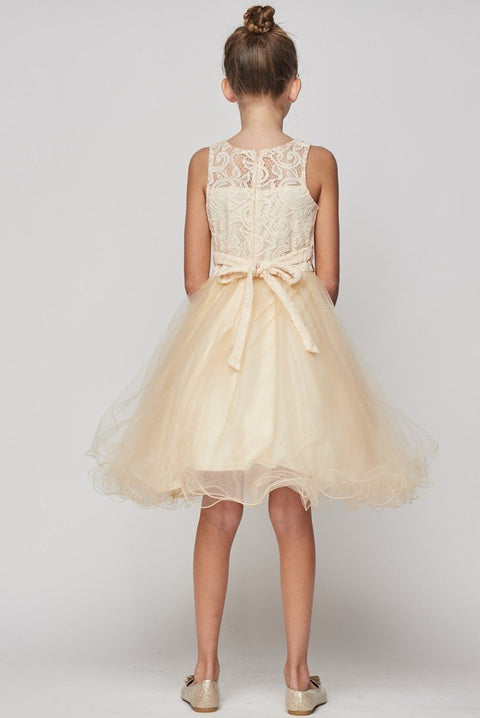 Cutie Party Dress - #5010