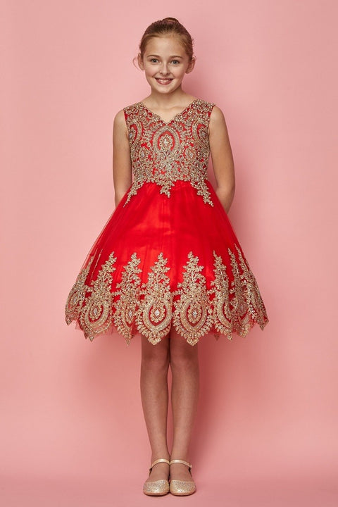 Cutie Party Dress - #5021