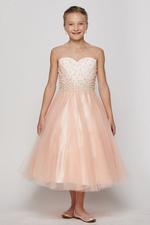 Cutie Lace & Tulle - #5053