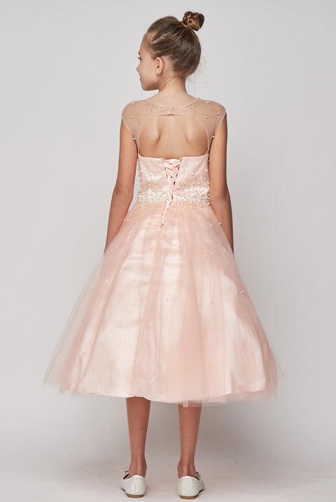 Cutie Lace & Tulle - #5053