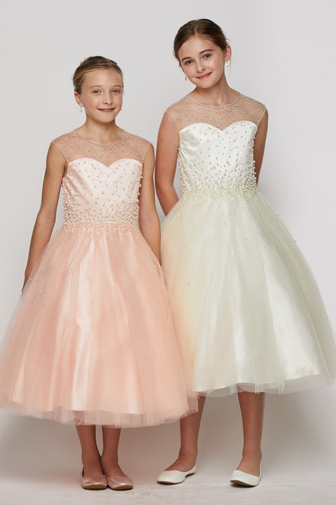 Cutie Lace & Tulle - #5053