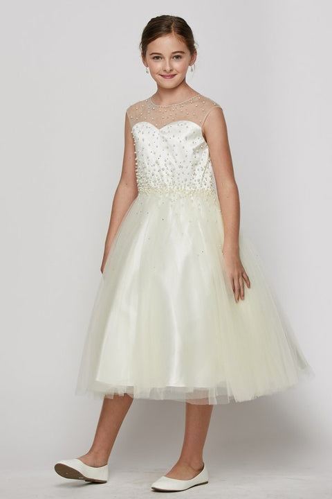 Cutie Lace & Tulle - #5053
