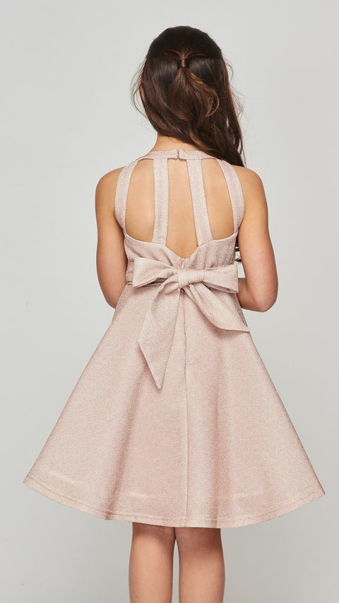 Cutie Party Dress - #5085