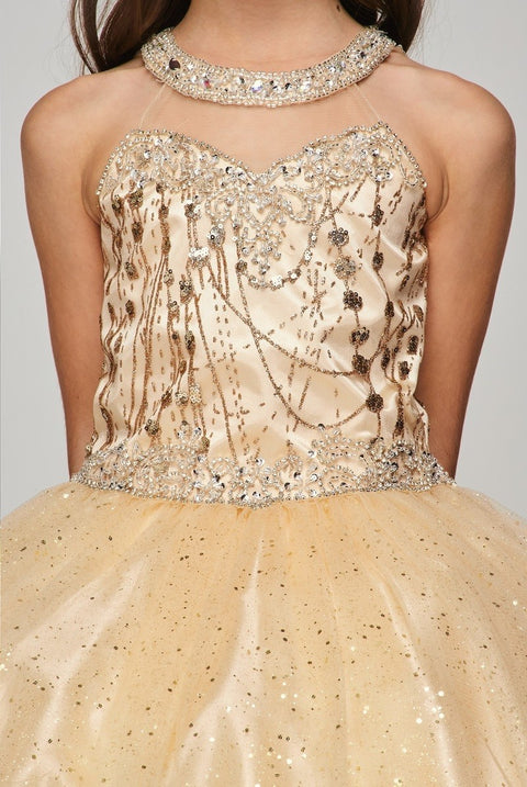 Cutie Party Dress - #5090