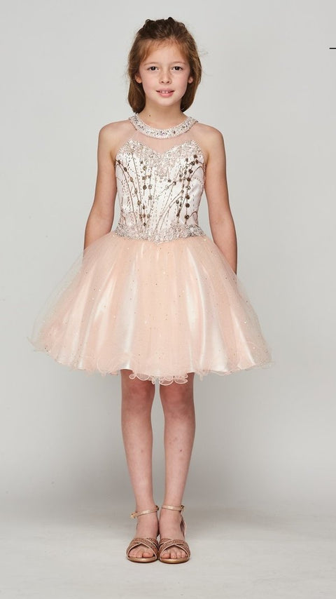 Cutie Party Dress - #5090