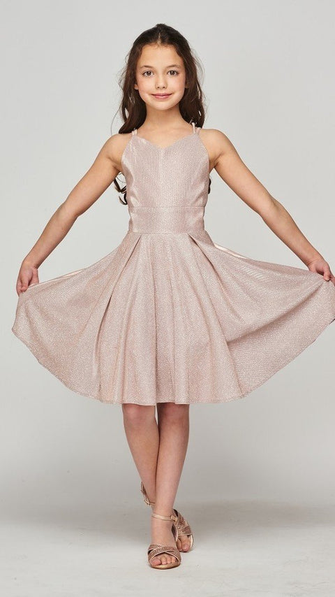 Cutie Party Dress - #8011