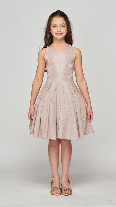 Cutie Party Dress - #8011