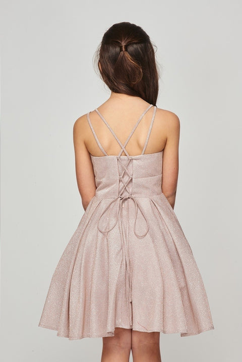 Cutie Party Dress - #8011