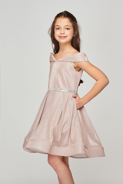 Cutie Party Dress - #8012