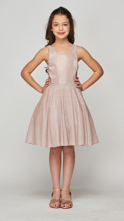 Cutie Party Dress - #8013