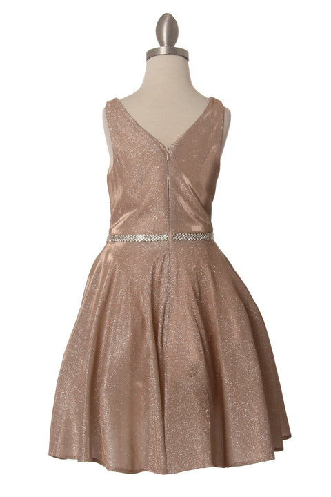 Cutie Party Dress - #8013