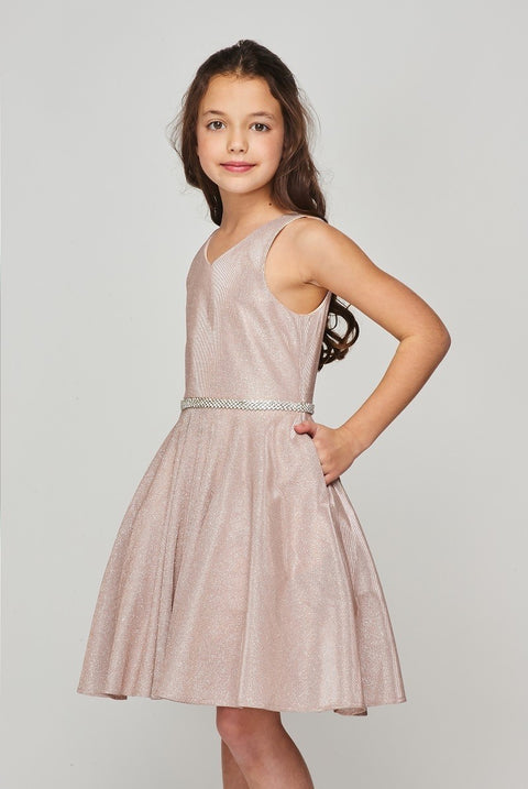 Cutie Party Dress - #8013