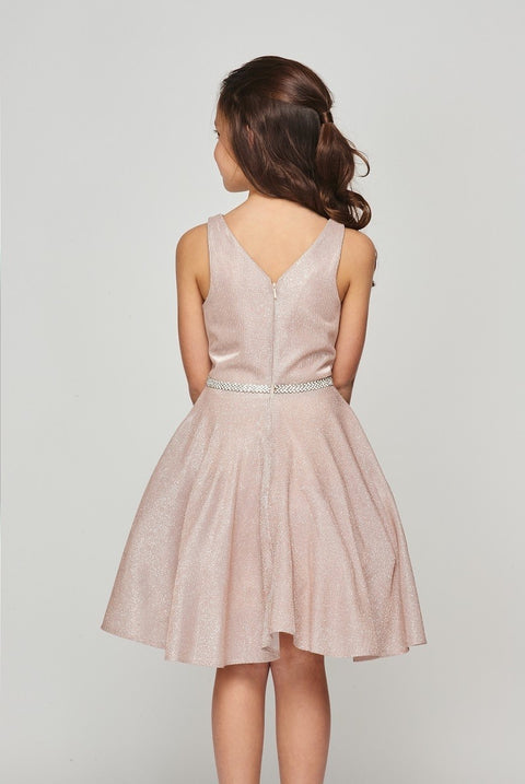 Cutie Party Dress - #8013