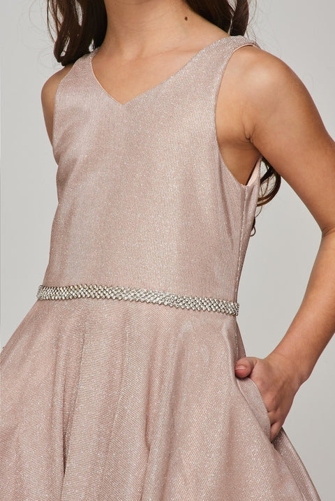 Cutie Party Dress - #8013