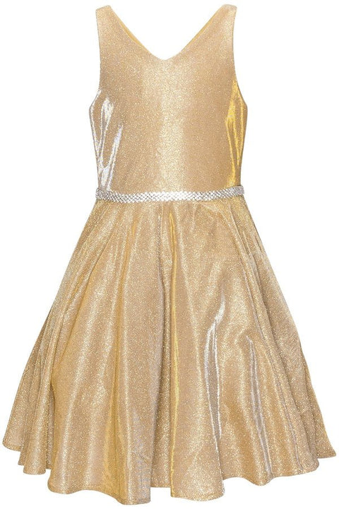 Cutie Party Dress - #8013