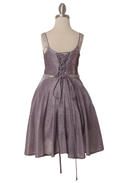 Cutie Party Dress - #8014