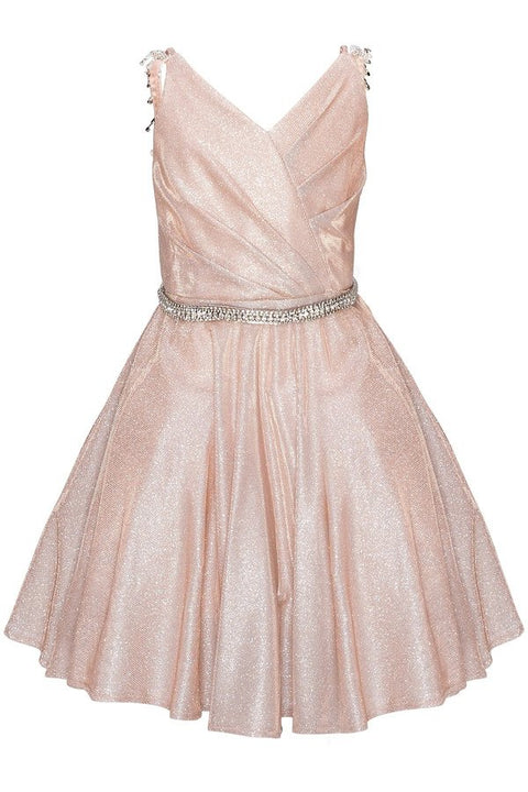 Cutie Party Dress - #8014