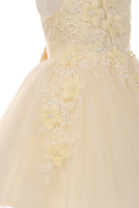 Cutie Lace & Tulle - #9040