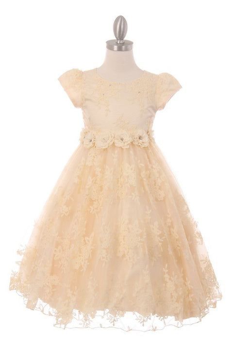 Cutie Lace & Tulle - #9078