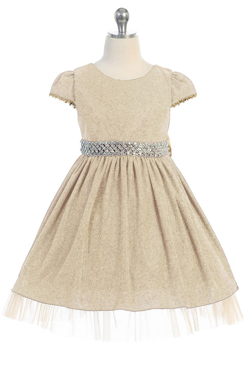 Sparkly Crystal Rhinestone Dress