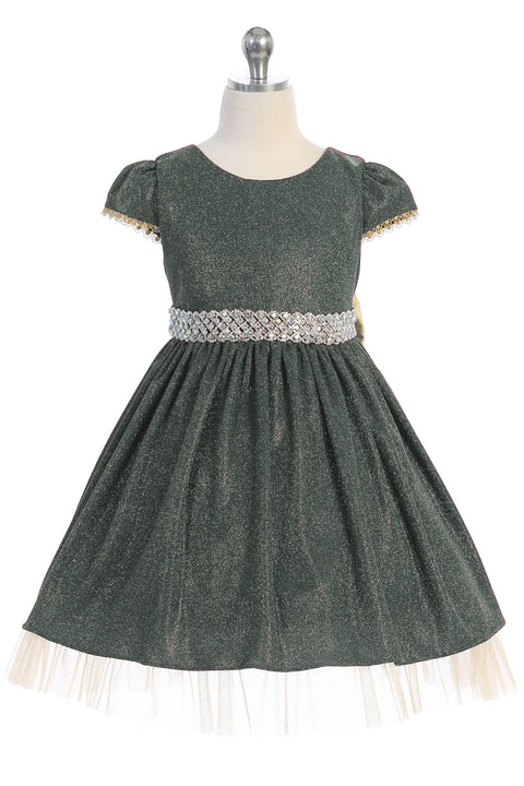 Sparkly Crystal Rhinestone Dress