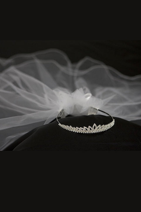 Crown with Veil